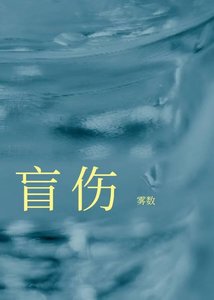 盲伤/去他个狗屁良心