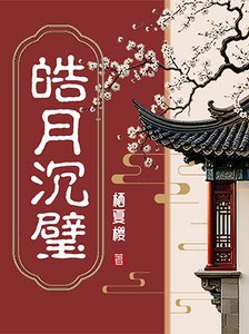 皓月沉璧